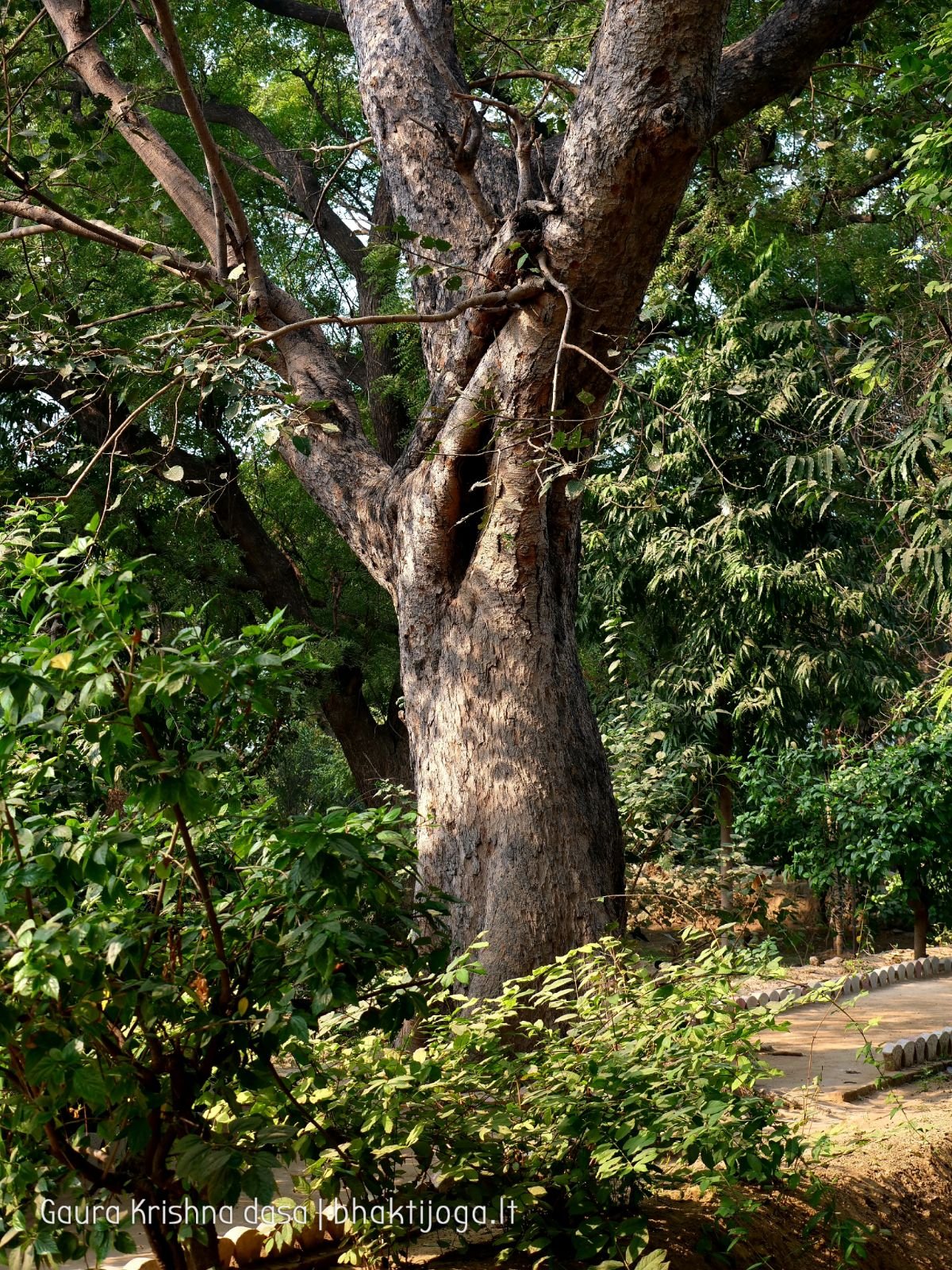  Varshana parikrama and preaching. 2019.12.10
